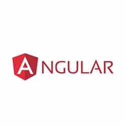 Angular Web application Development