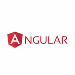 Angular Developmemt